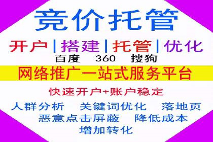 专业SEM托管助力企业快速成长案例分析